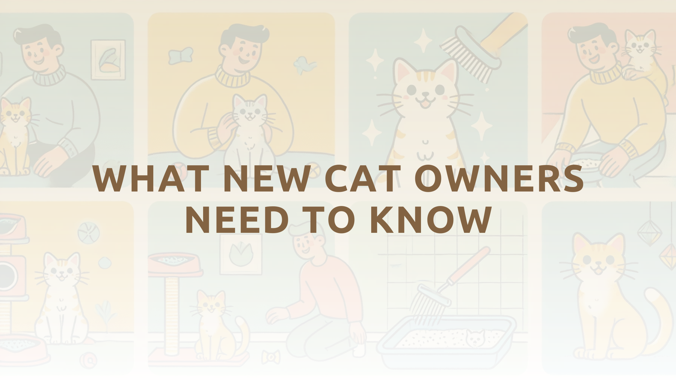 What new cat owners need to know
