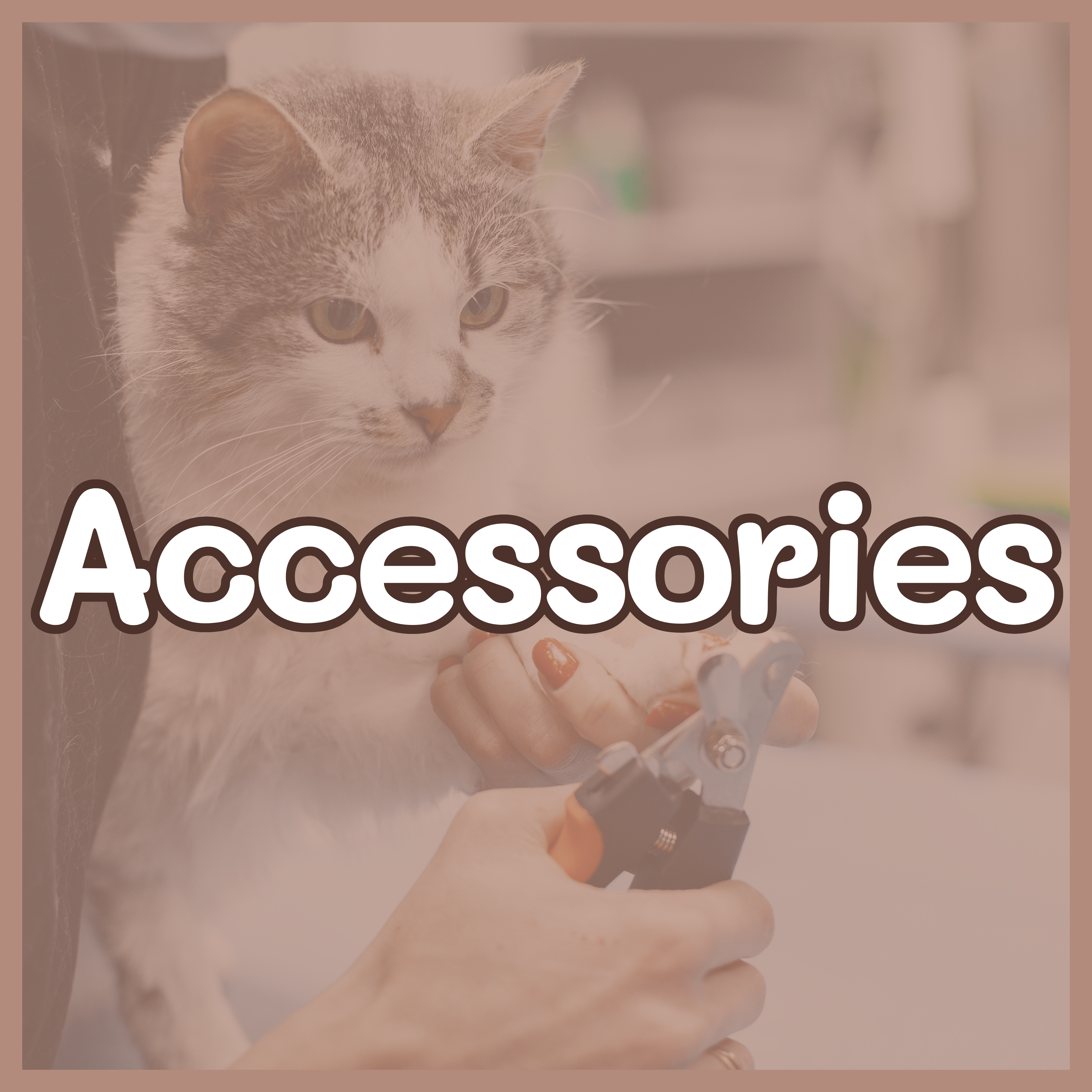 files/Category_banners_TT_1.png