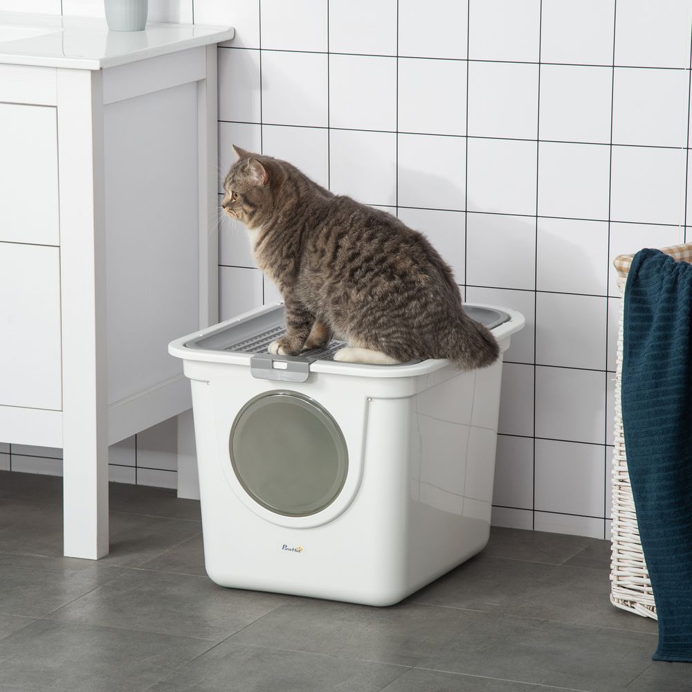 cat sitting on top of a cat litterbox