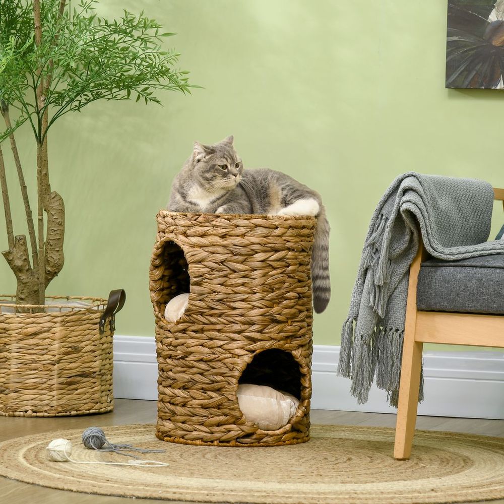 Kitten Scratching barrel