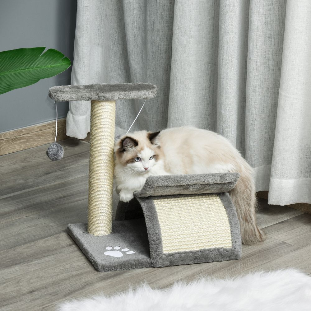 Tabby Cat Tree Tunnel