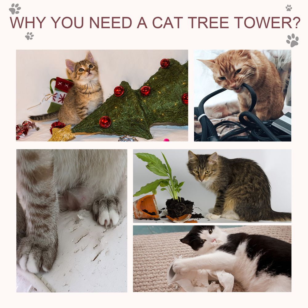 Tabby Cat Tree Tunnel