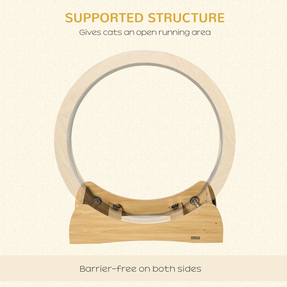 Supported structure for cat treadmill exercise