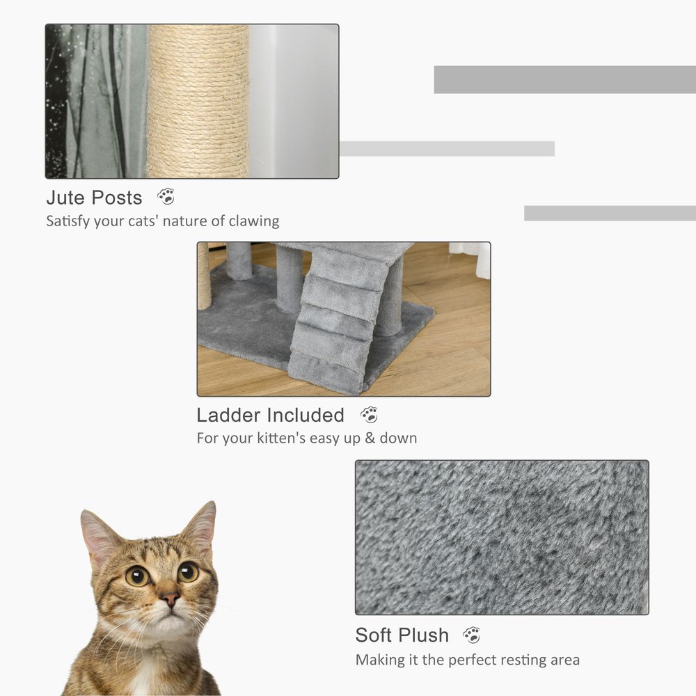 Cat Tree with Climbing Ladder