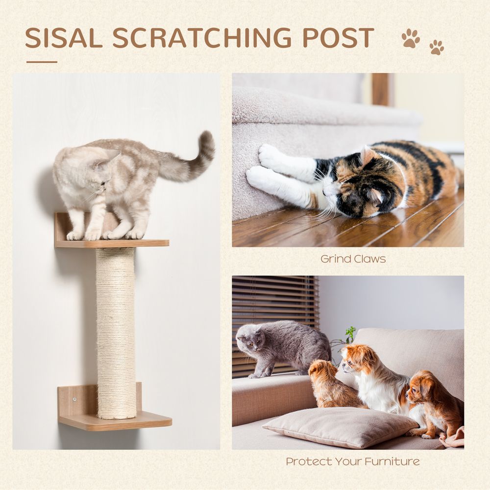 Four Piece Cat Shelf with Clear Bowl Hammock