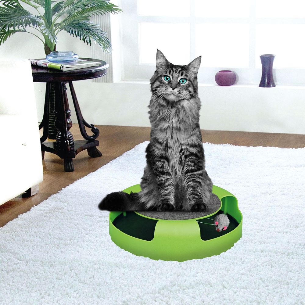 Catch The Mouse Moving Cat Toy