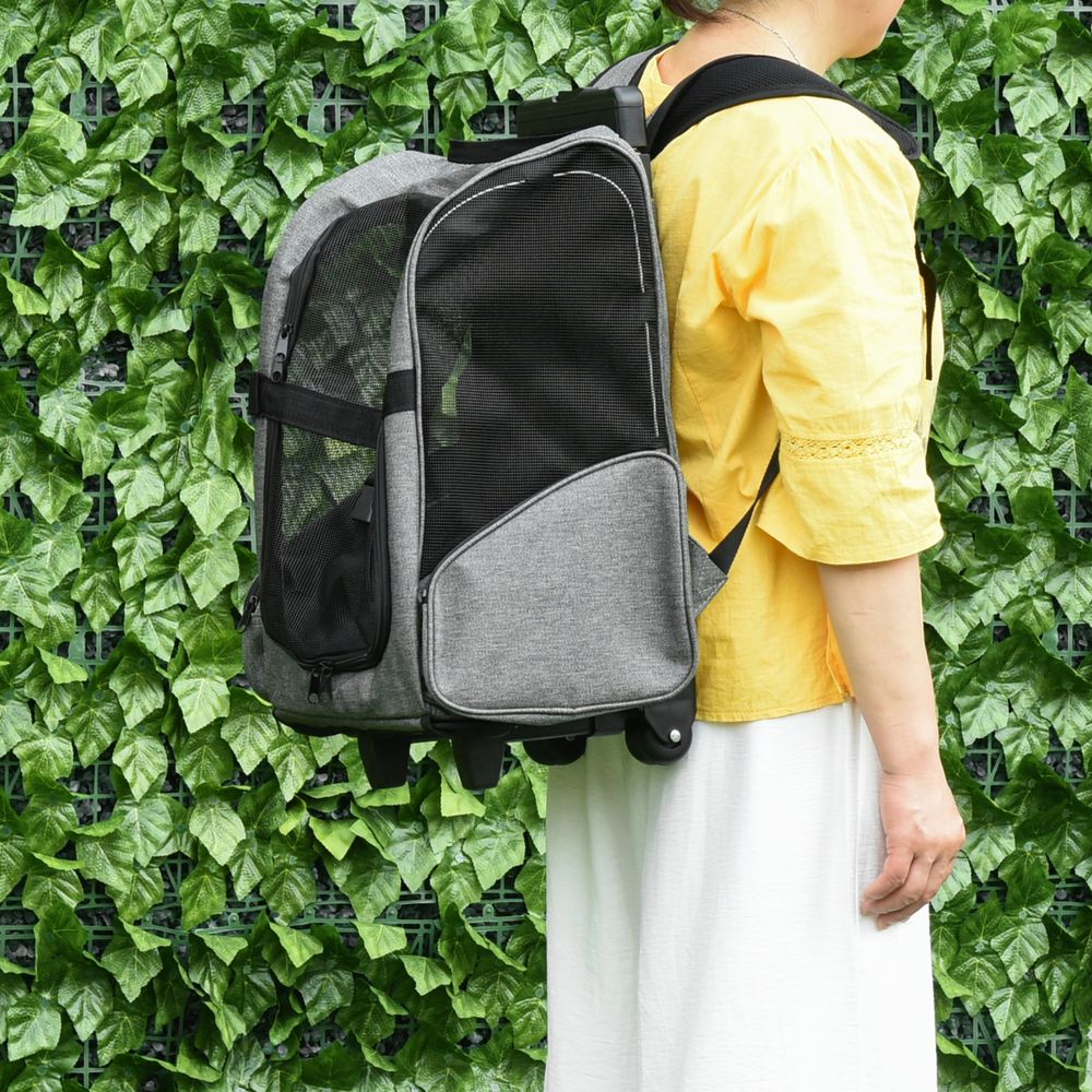 Woman with backpack Cat Carrier With Wheels