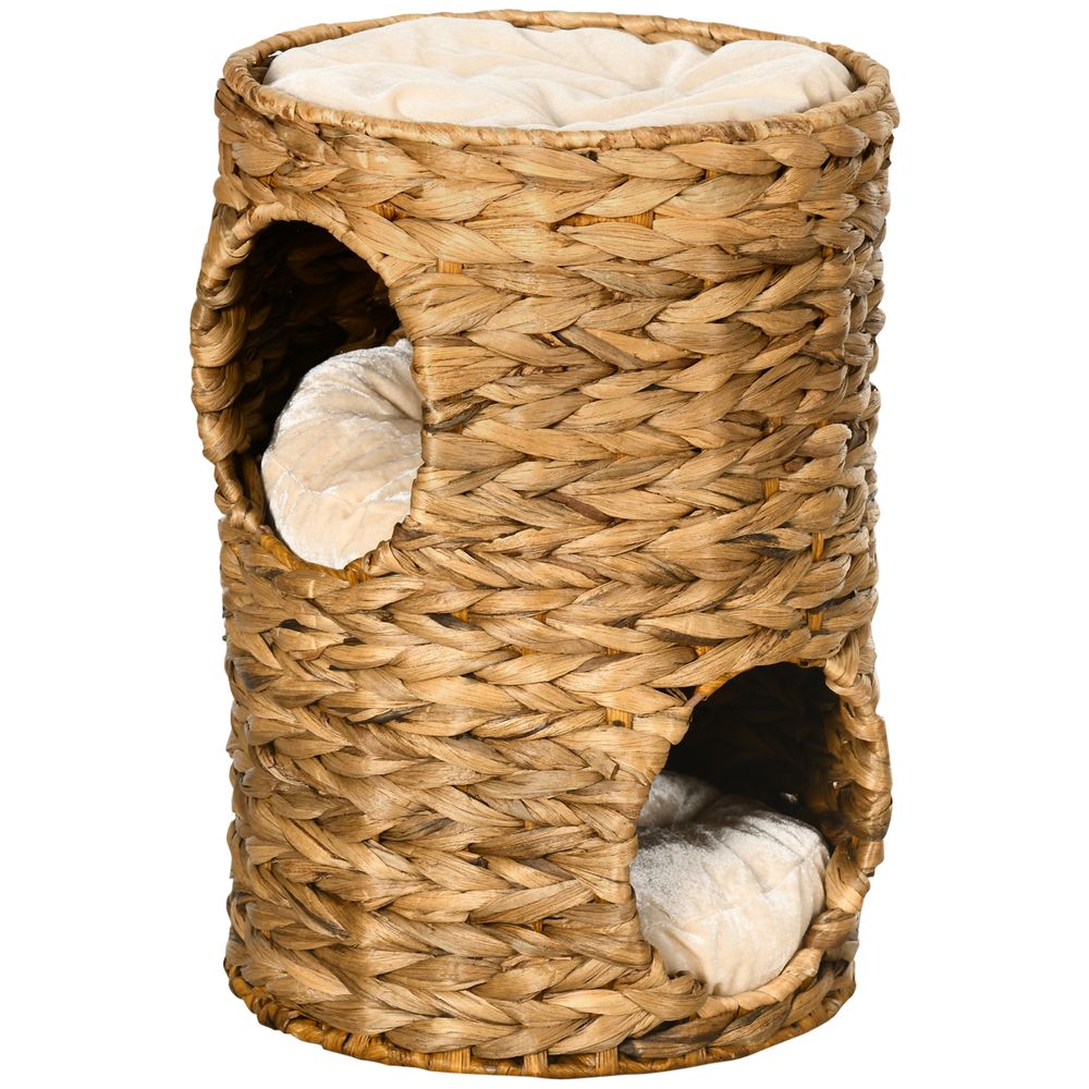 Kitten Scratching barrel