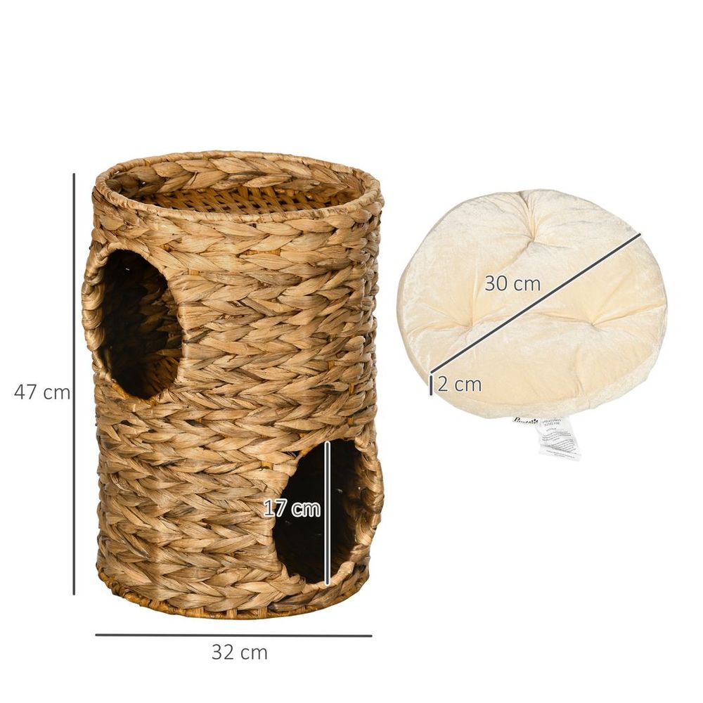 Kitten Scratching barrel