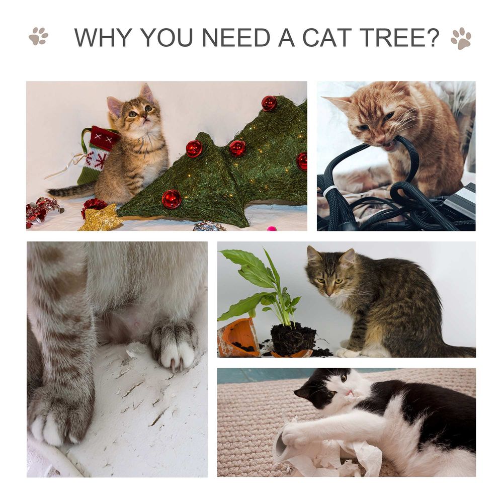 Cat Tree Tower Climbing  Center