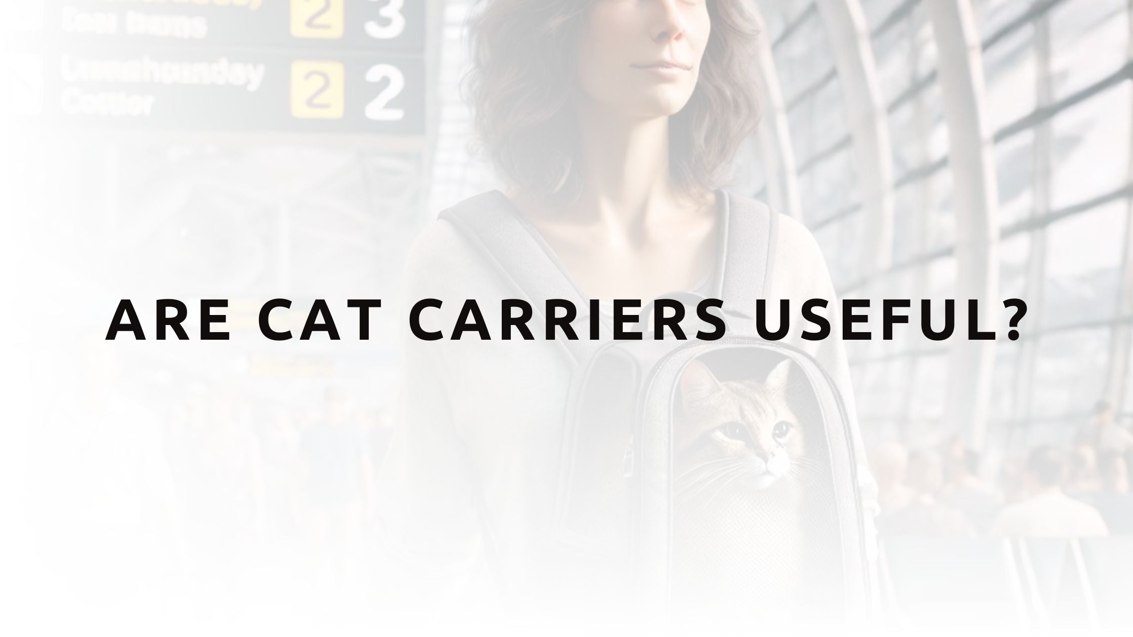 Are Cat Carriers Useful?