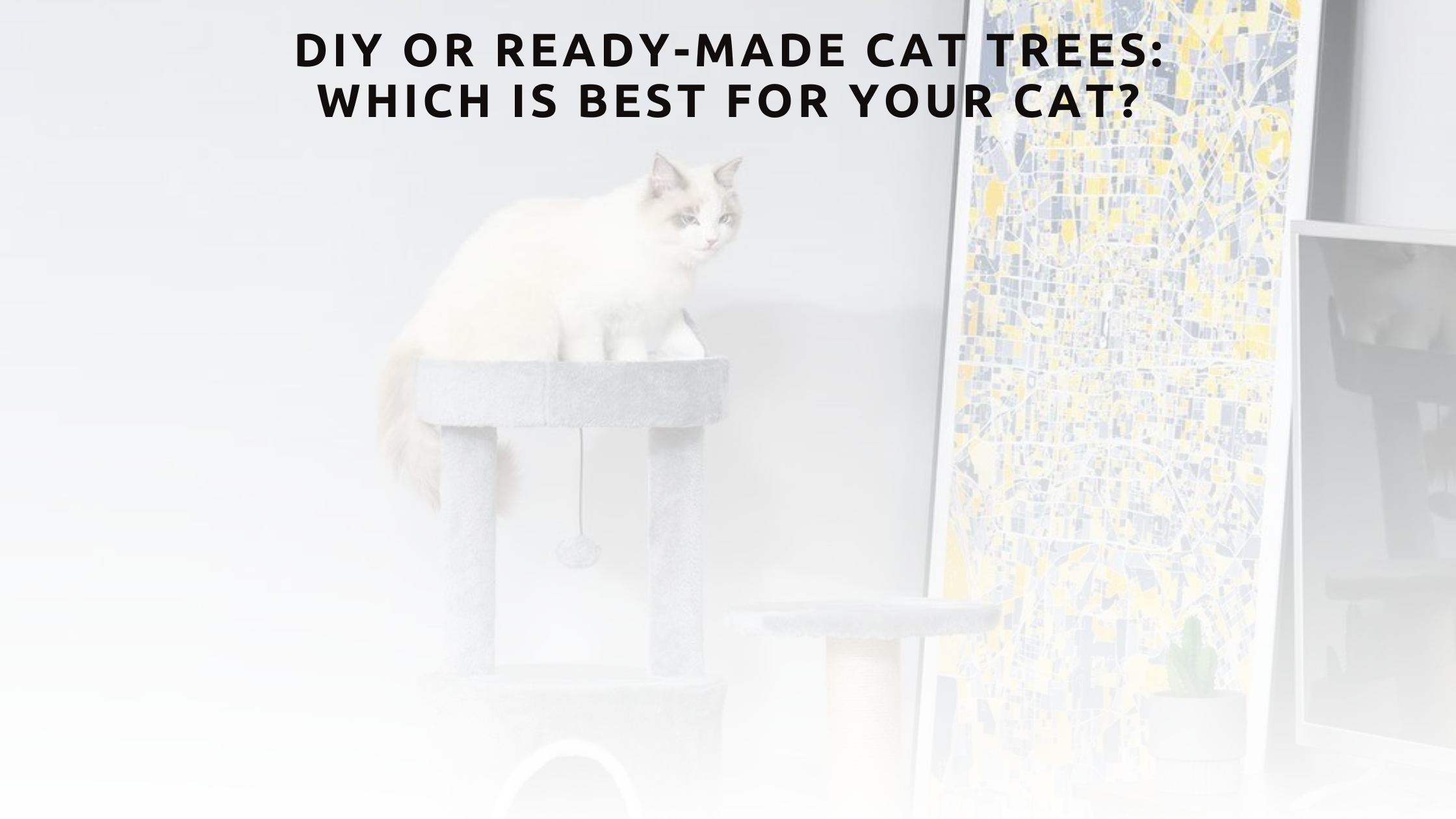 DIY or Ready-Made Cat Trees: Which is Best for Your Cat?
