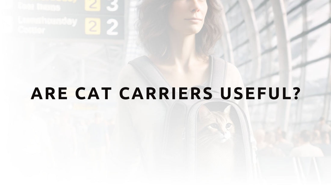 Are Cat Carriers Useful?
