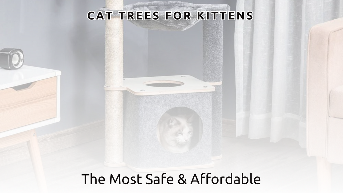 Cat Trees For Kittens