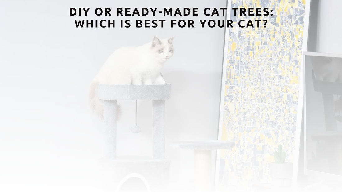 DIY or Ready-Made Cat Trees: Which is Best for Your Cat?
