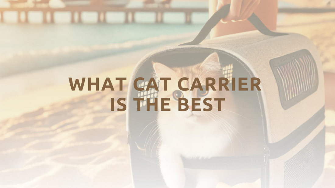 What Cat Carrier is the Best?
