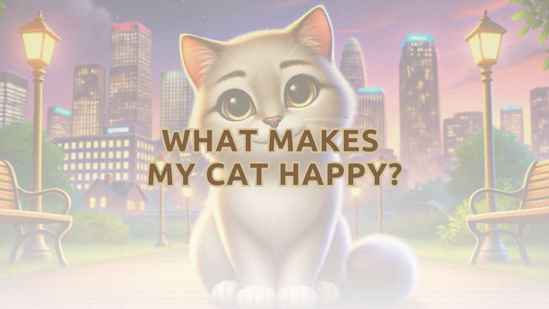 Expert Tips: What Makes My Cat Happy?