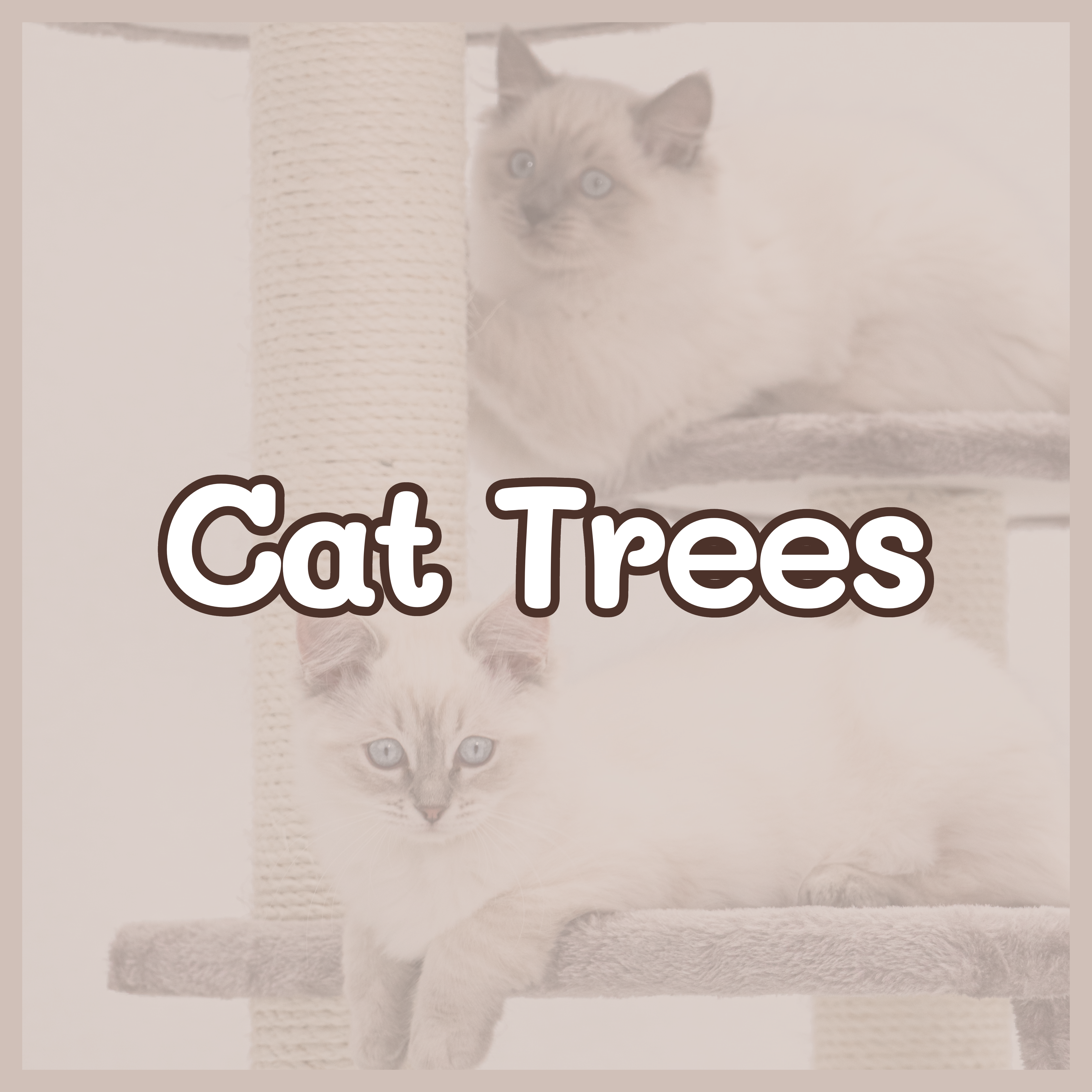files/Cat_Trees.png