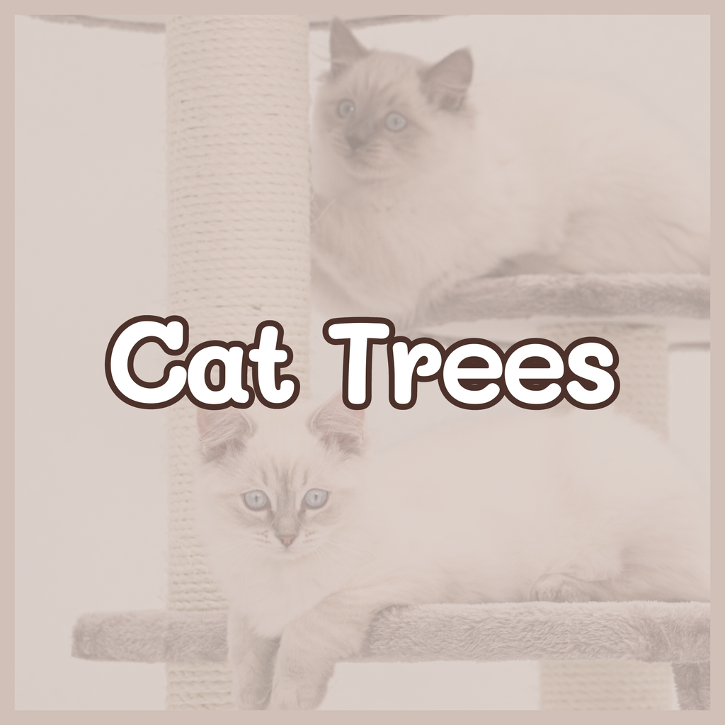files/Cat_Trees.png