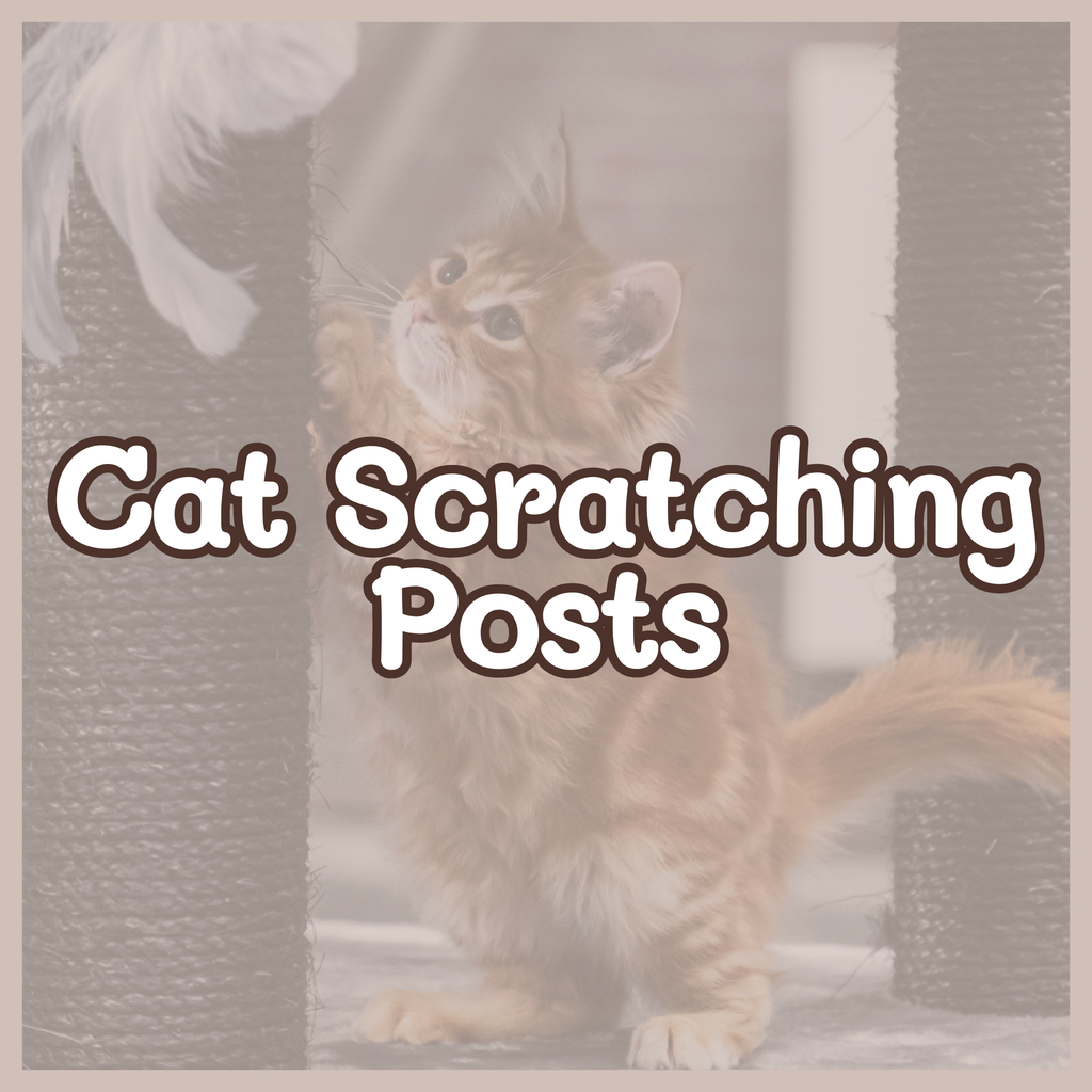 files/Cat_scratching_posts.png