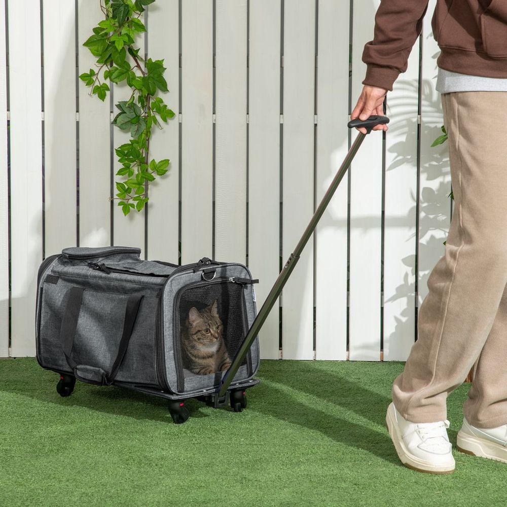 cat being strolled in a grey carrier by cat parent. see through grey carrier with zip.