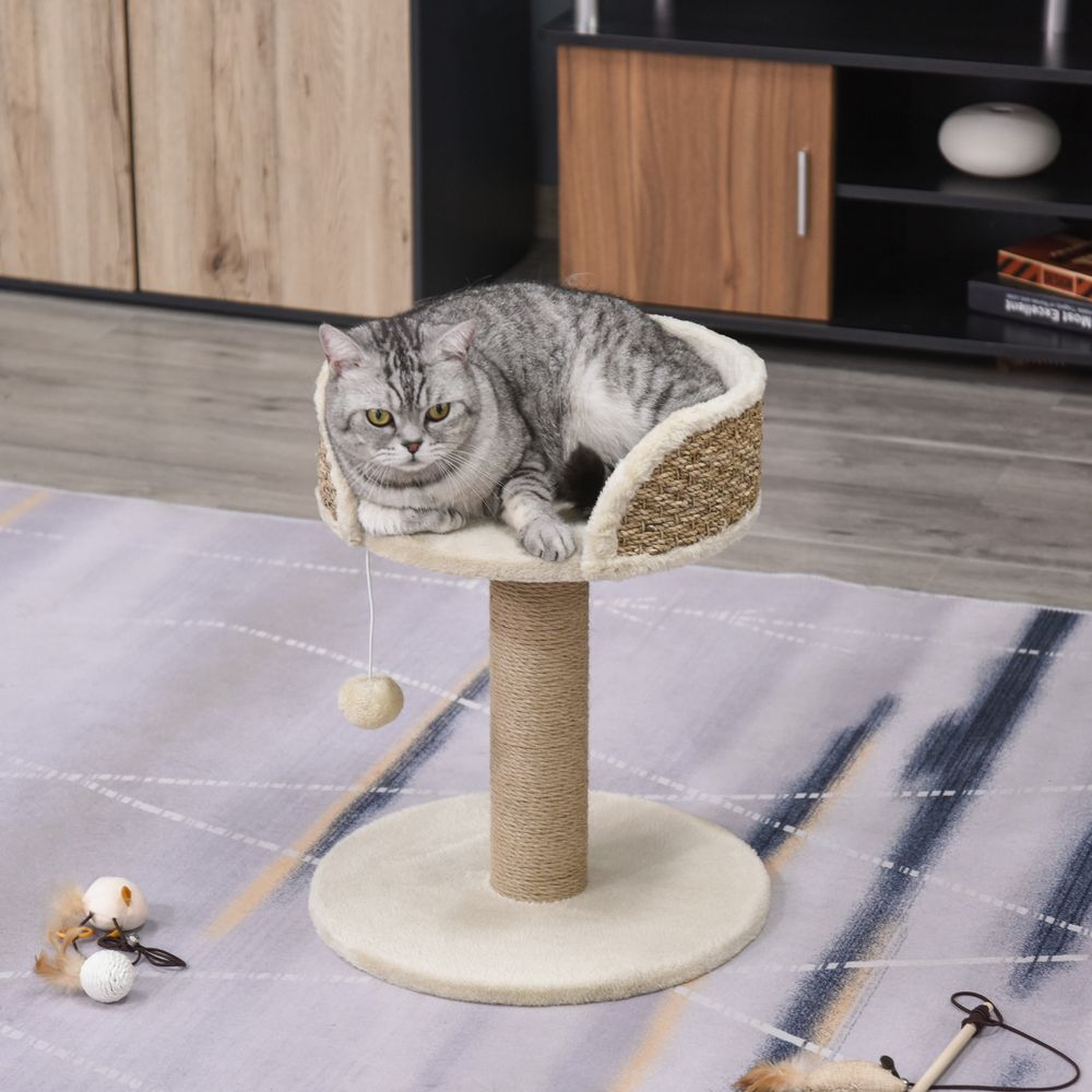 Cat on cat bed scratching post relaxing