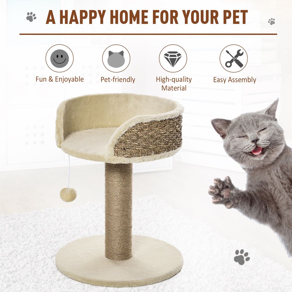 Happy cat scratching bed house for cat
