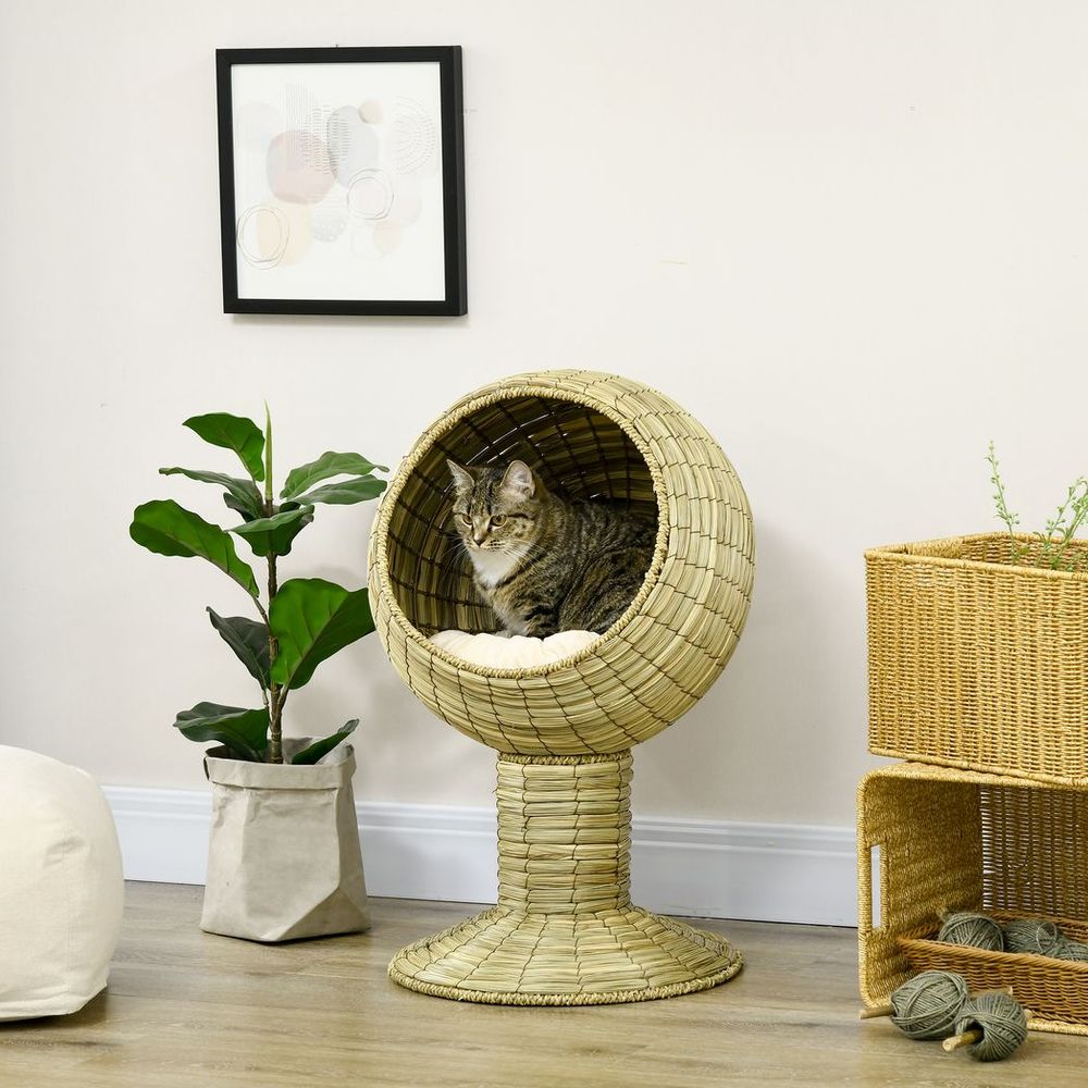 Cat sitting inside of a raised cat house made from wood with a cushion inside