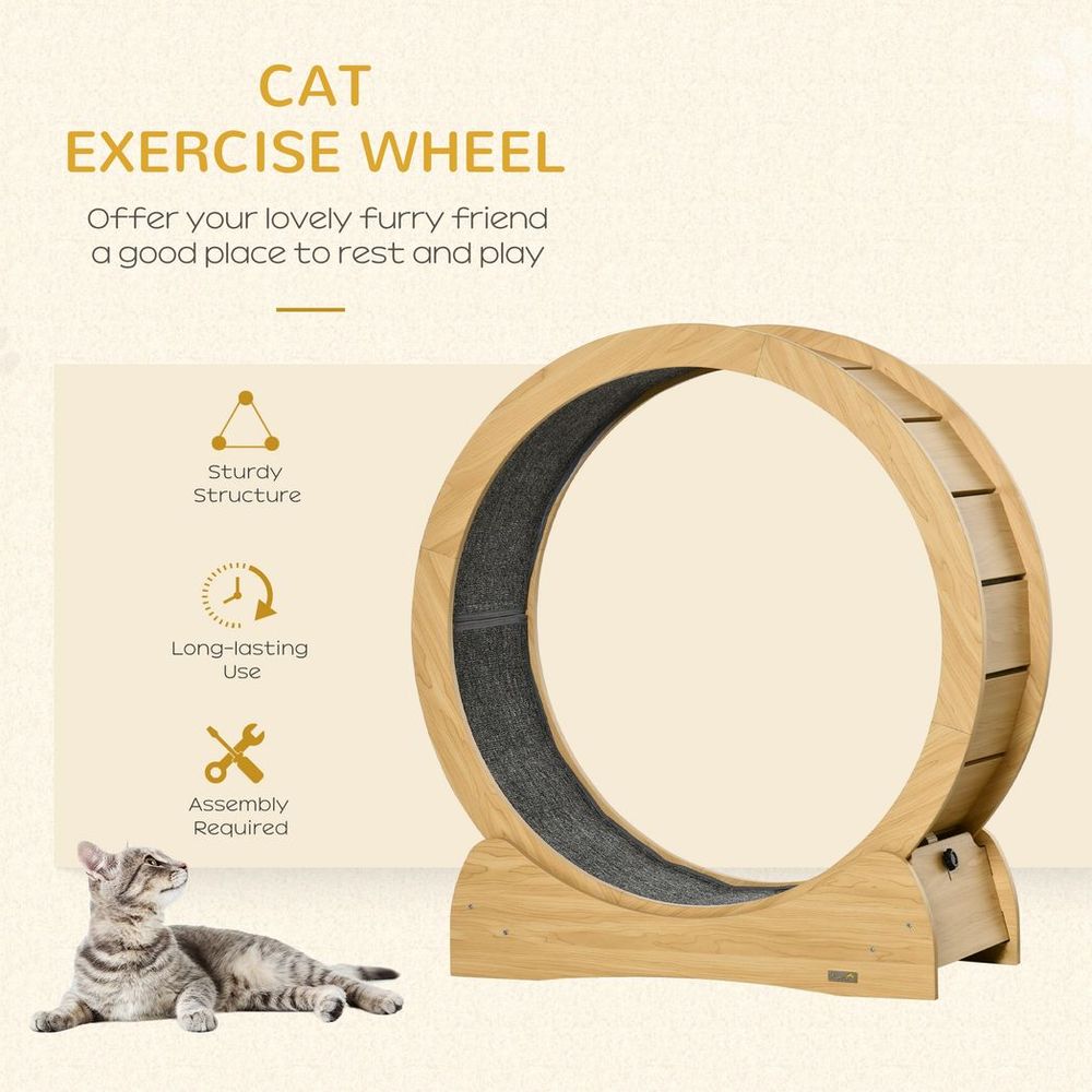 Exercise wheel for cats benefits and easy assembly