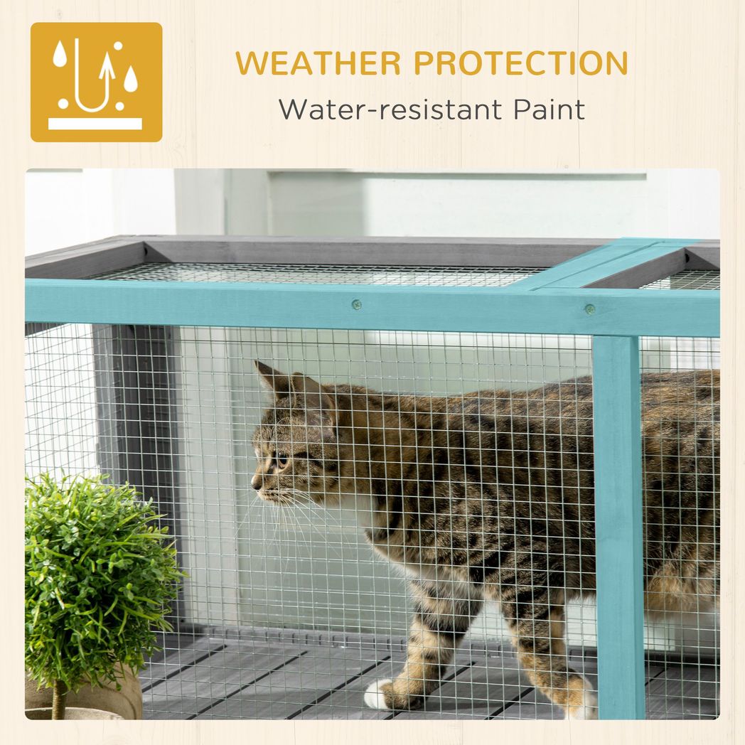 Cat Enclosure Outdoor