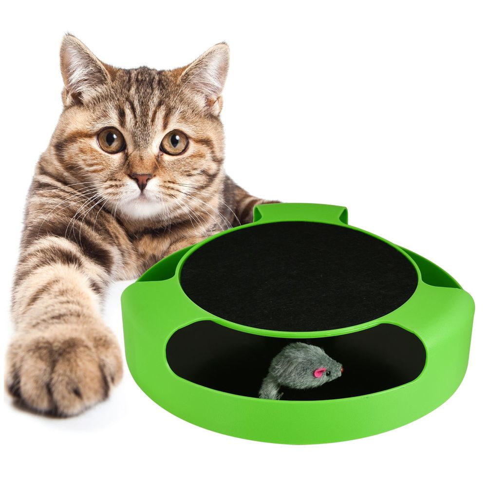 Catch The Mouse Moving Cat Toy