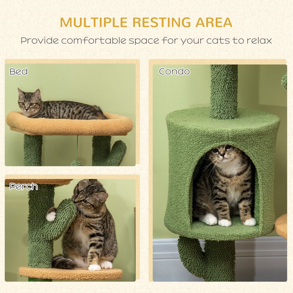 multiple resting areas for a cat to relax in the Cactus Cat Tree Bed