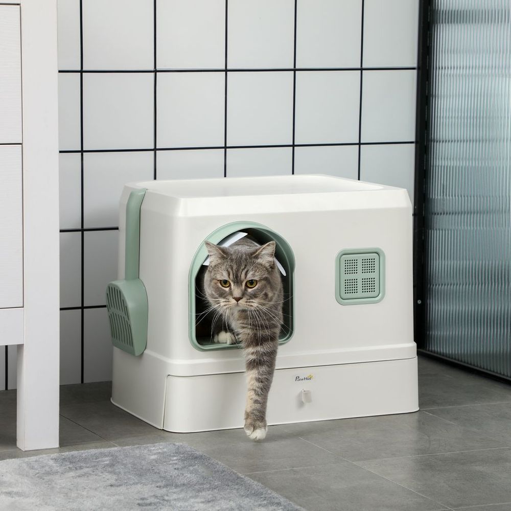 cat exiting litter box
