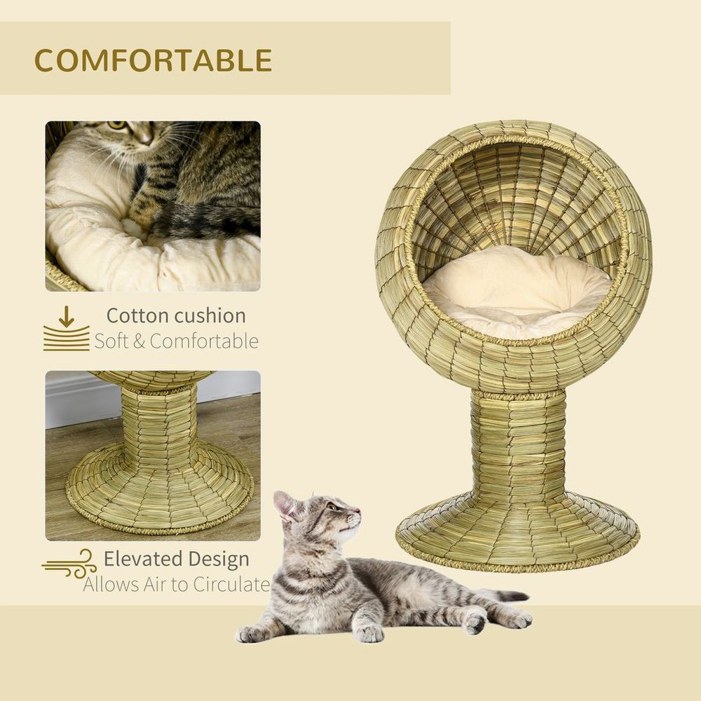 comfortable cushion and elevated design of a raised cat bed