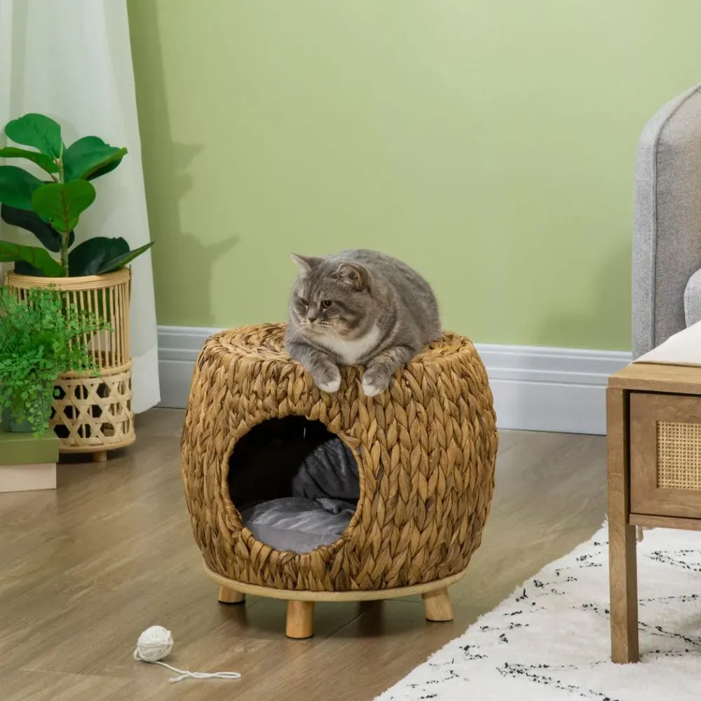 Cat relaxing on top of a Cat House Stool