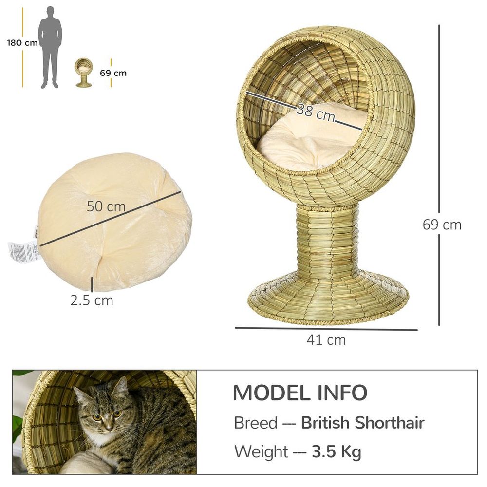 dimensions of a raised cat house