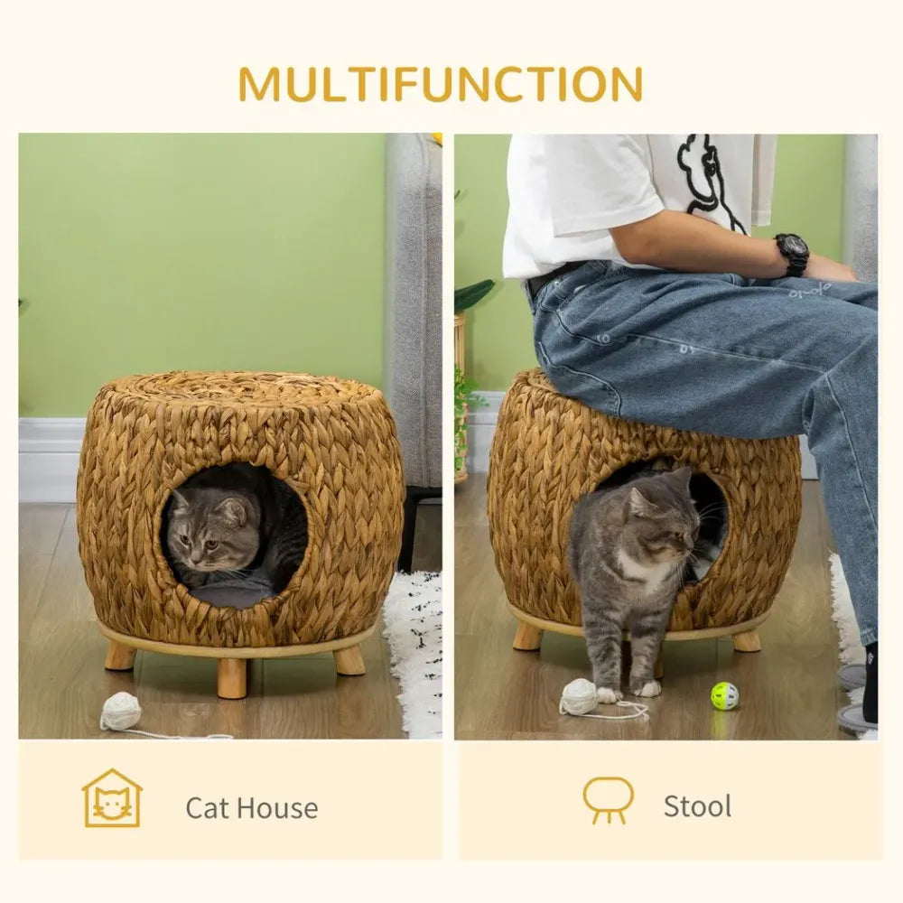 multifunctional cat house school cat inside and out with toys and human sitting at the top
